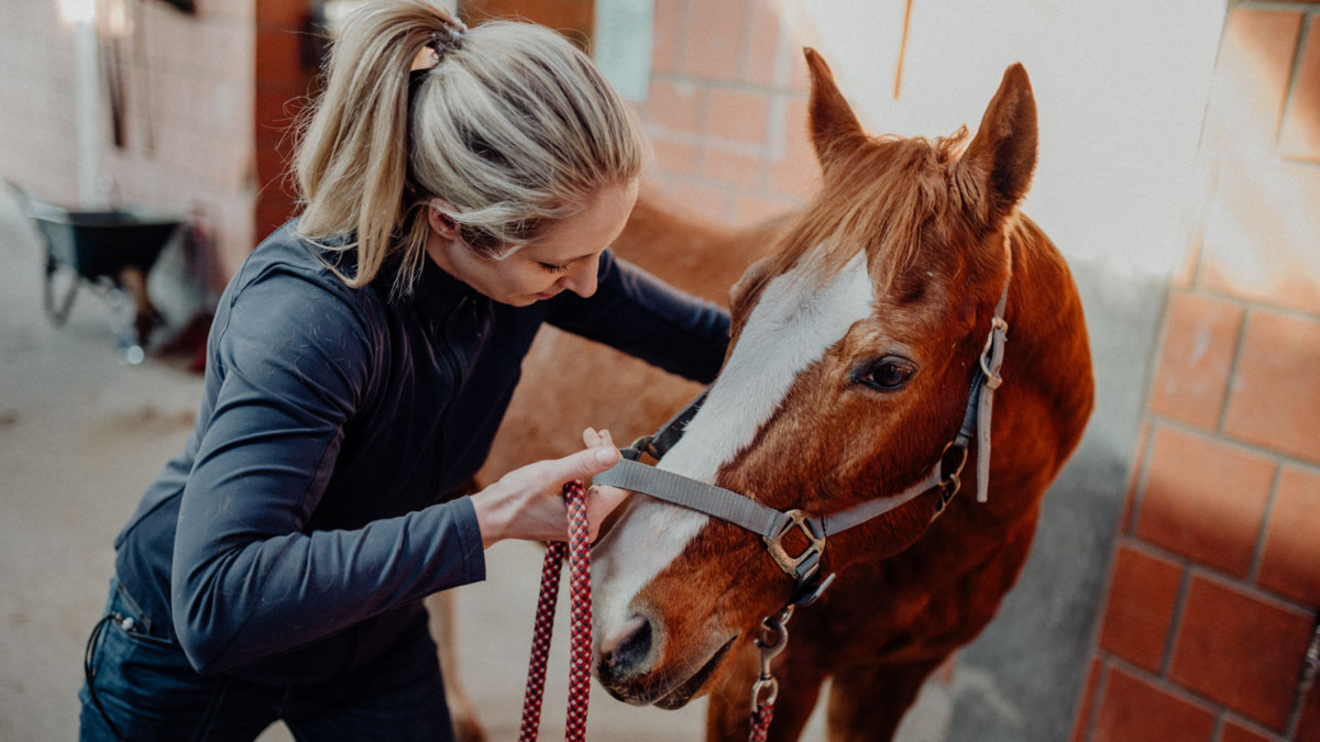 Pferdetherapeutin Ausbildung bei Julia Greb von ANIVET